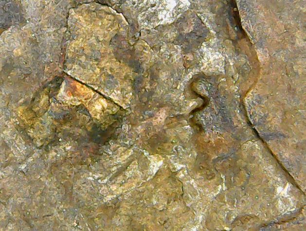 1940-US-Penny,-Planchete-Error?